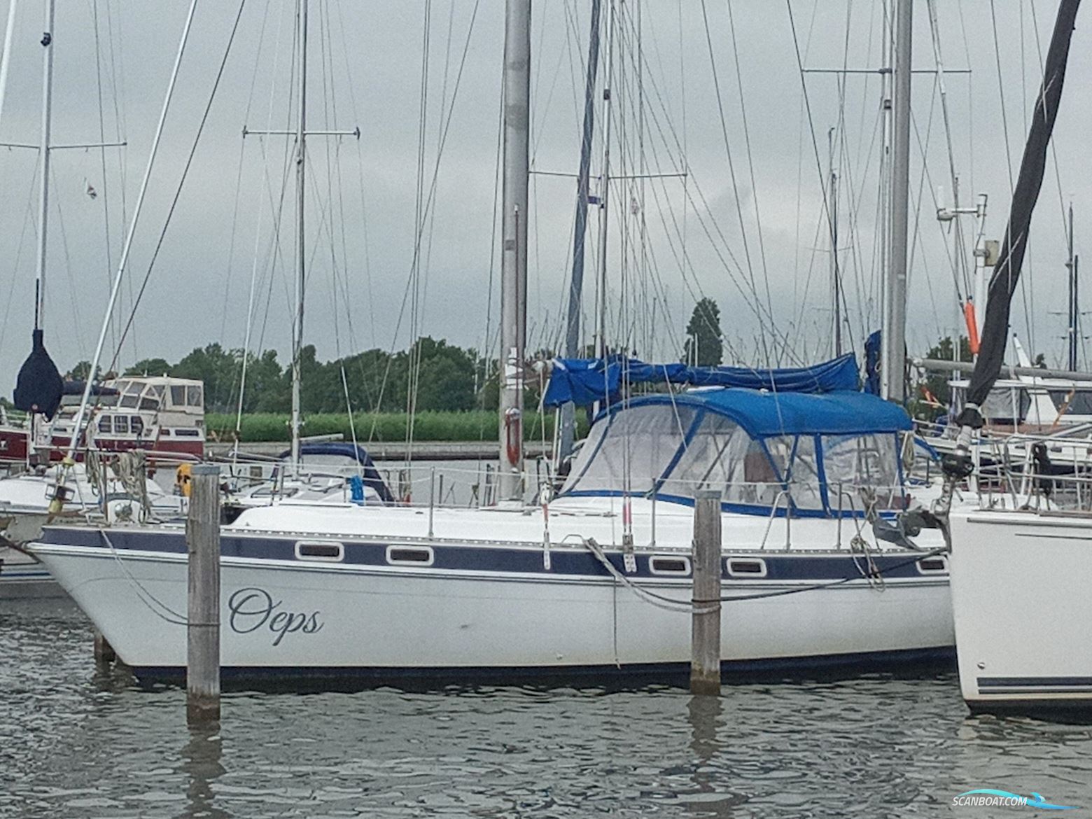 Morgan Out Island 41