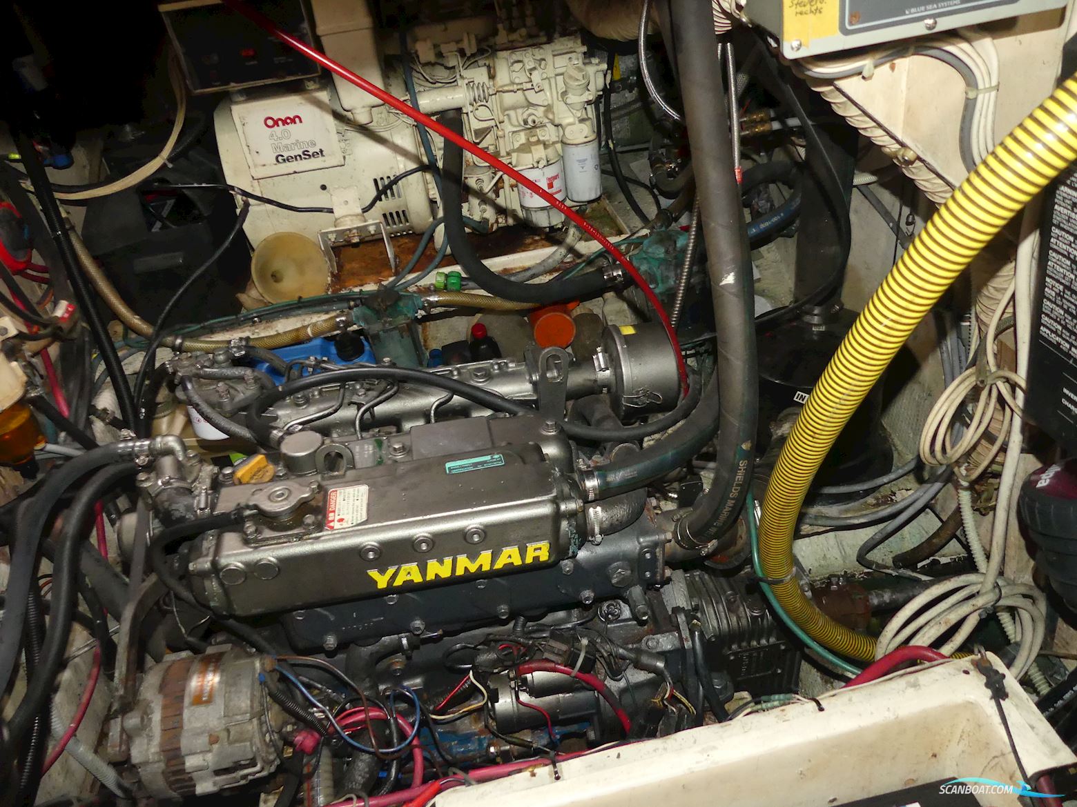 Morgan Out Island 41