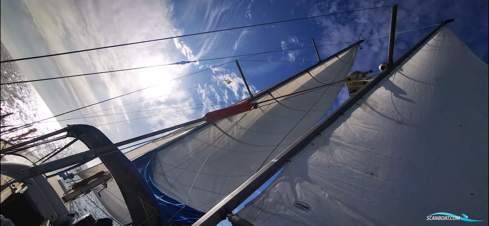 Morgan Out Island 41