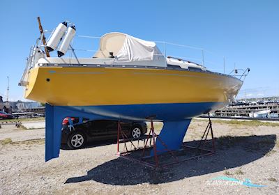 Murena 30 Segelboot 1977, mit Sole Diesel motor, Dänemark