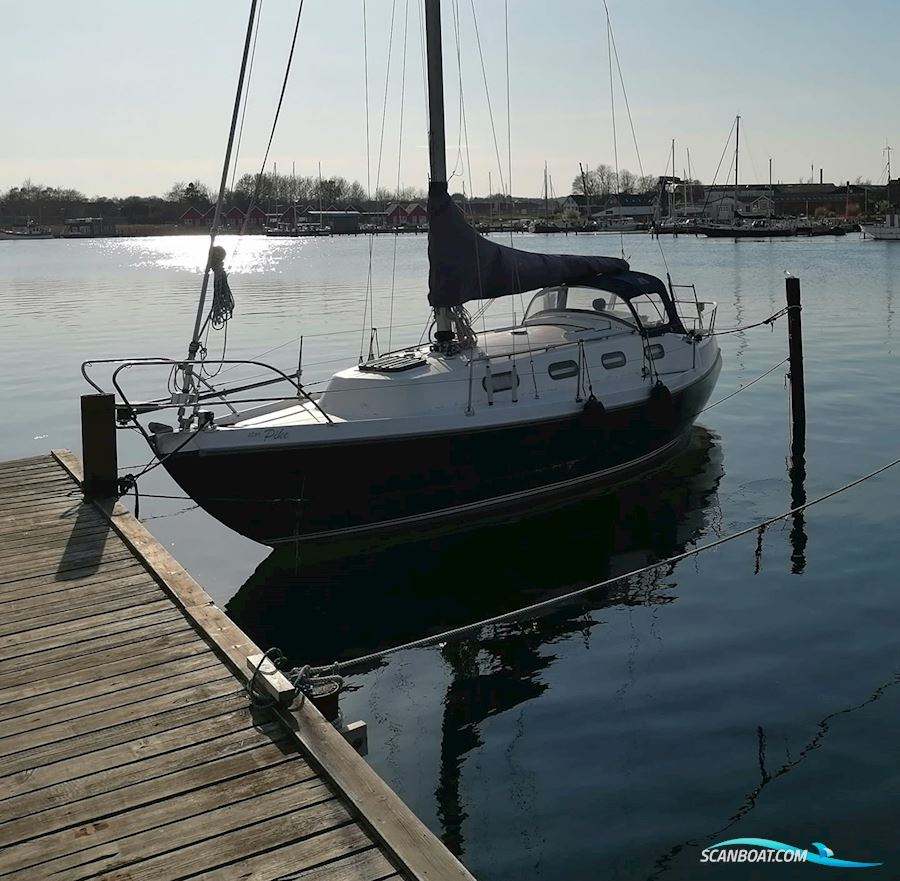 Najade 900 Deluxe Segelboot 1973, mit Volvo Penta 2020 B motor, Dänemark