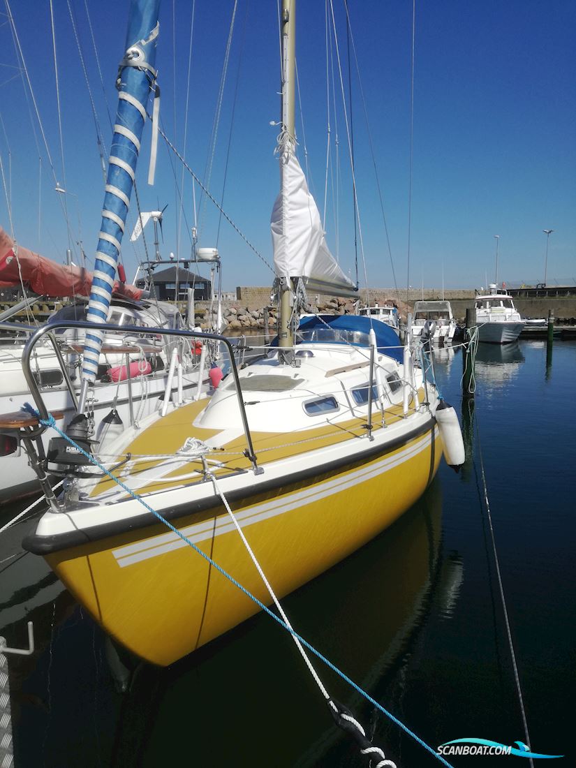 Naver29 Segelboot 1976, mit Bukh  10hk motor, Dänemark