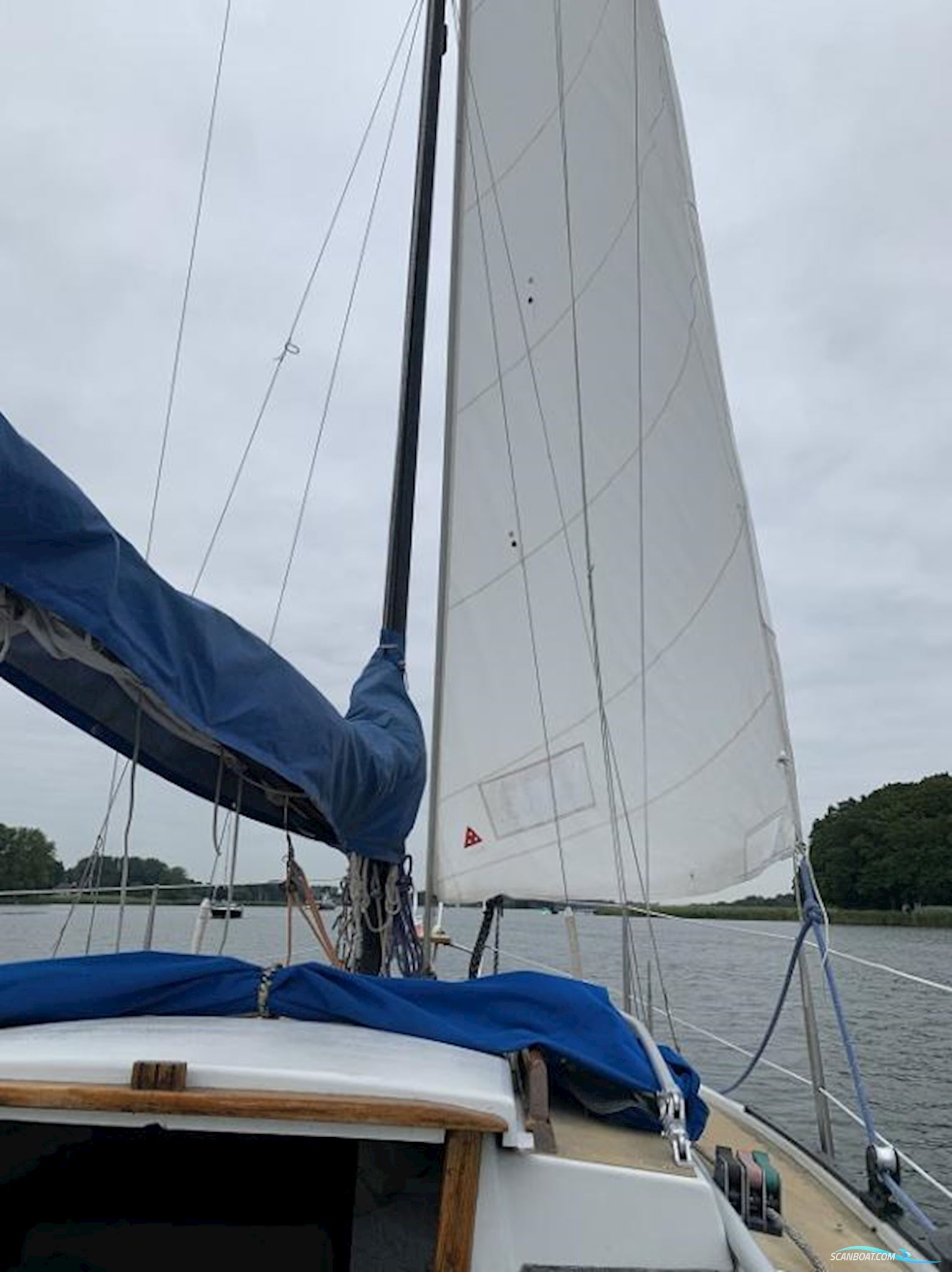 Neptun 22
