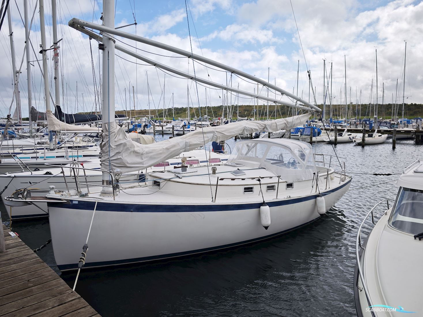 Nonsuch 30U