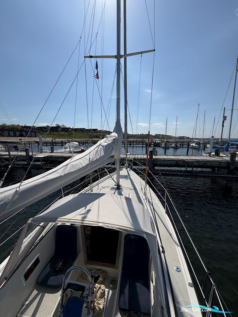 Nordship 29