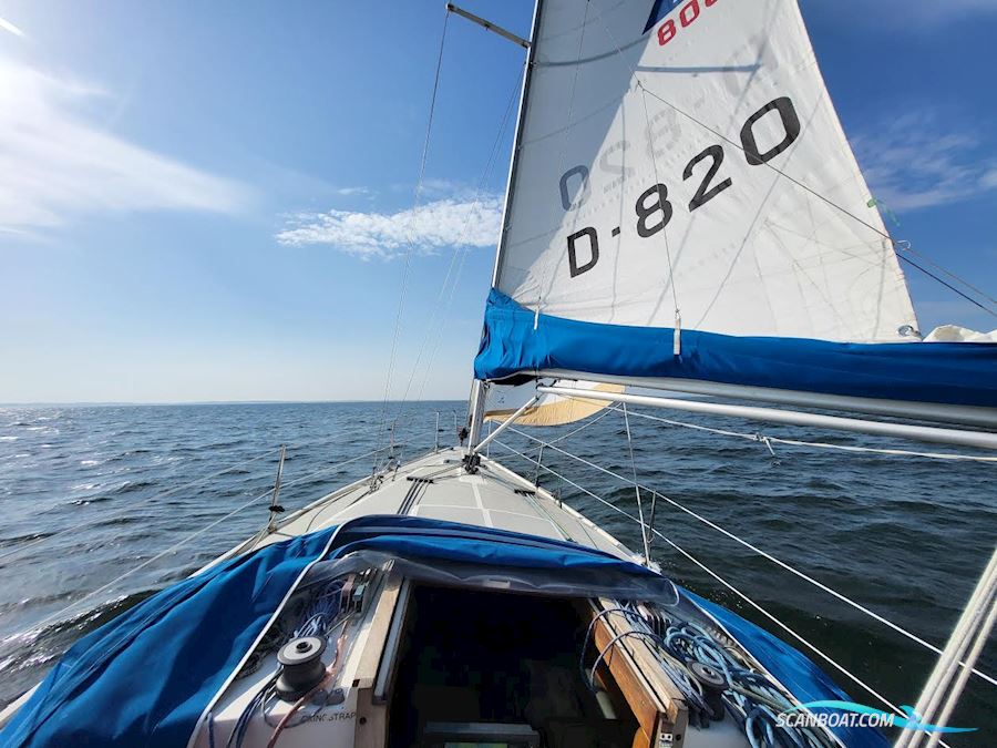 Nordship 808
