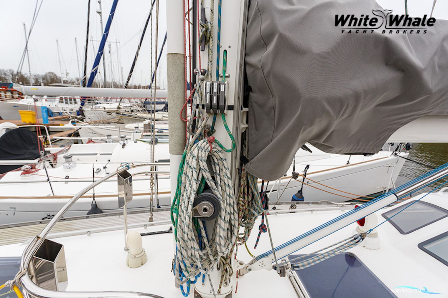 Northern Comfort 43