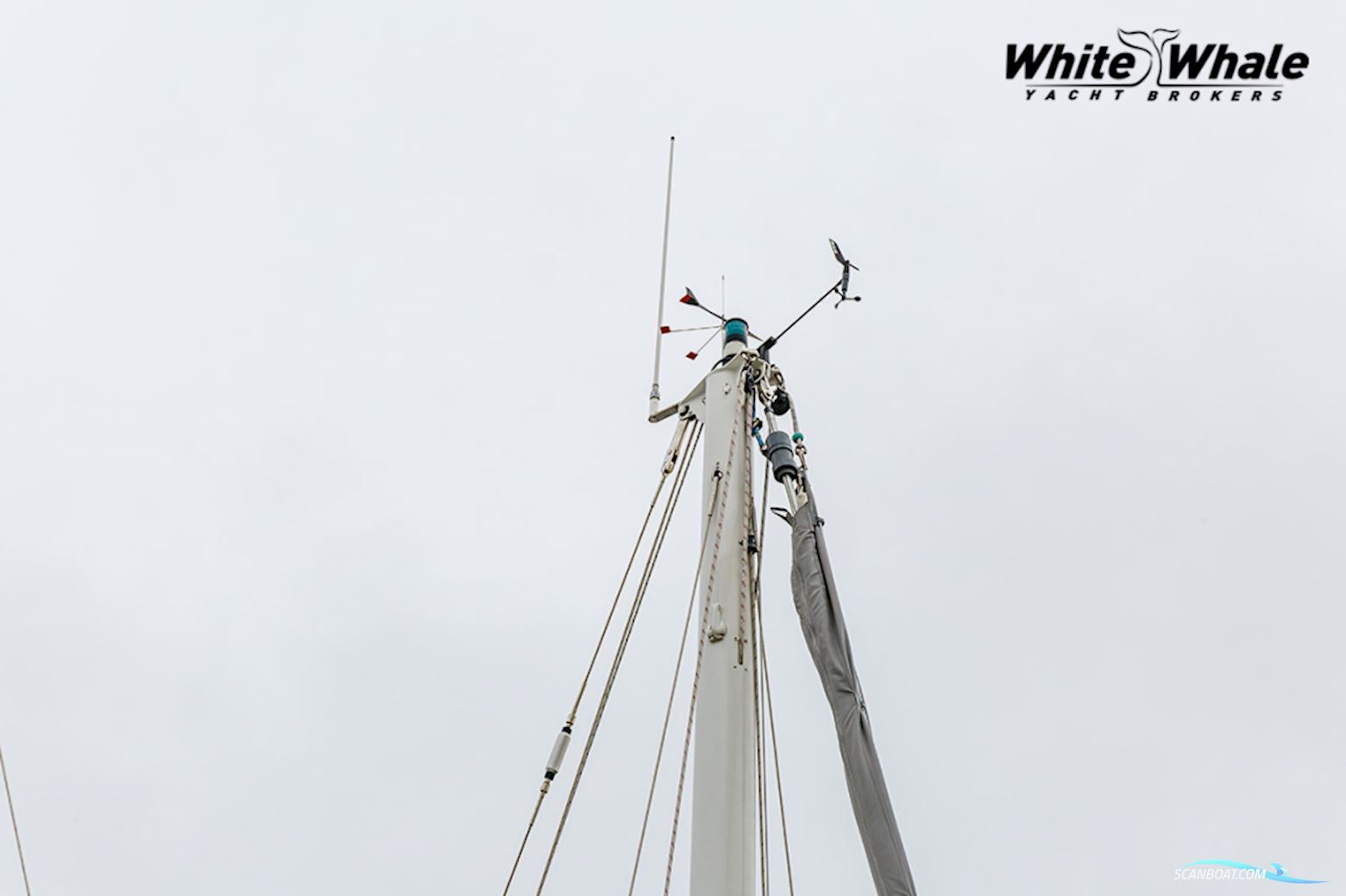 Northern Comfort 43