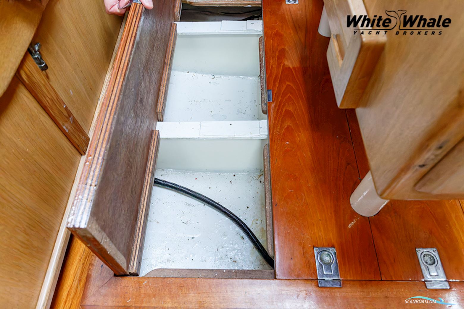 Northern Comfort 43