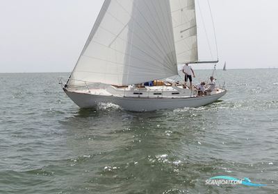 Northney Segelboot 1967, mit Yanmar motor, Niederlande