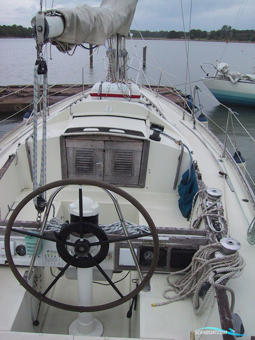 OE 36