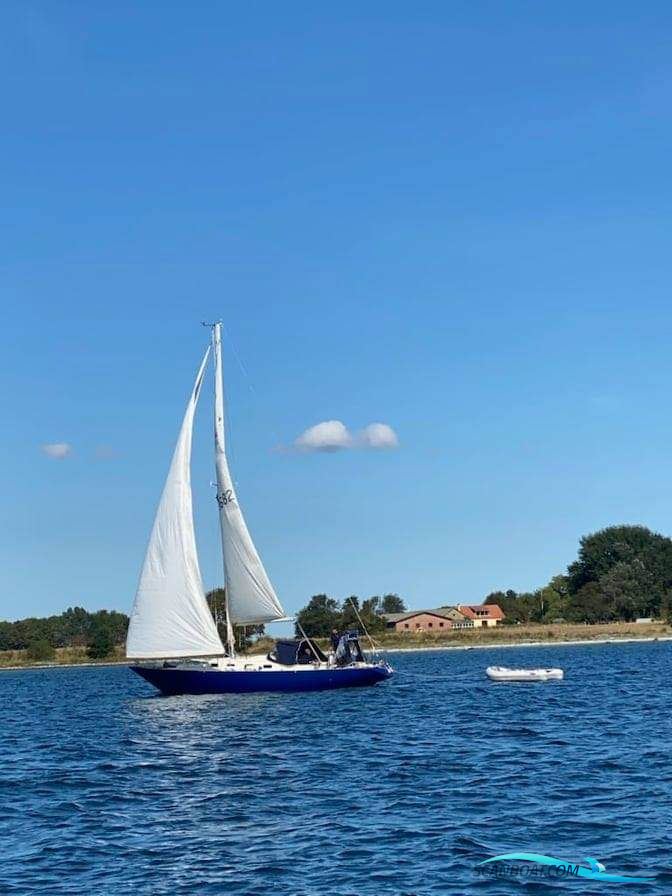 Oe36 Segelboot 1979, mit Lombadini motor, Dänemark
