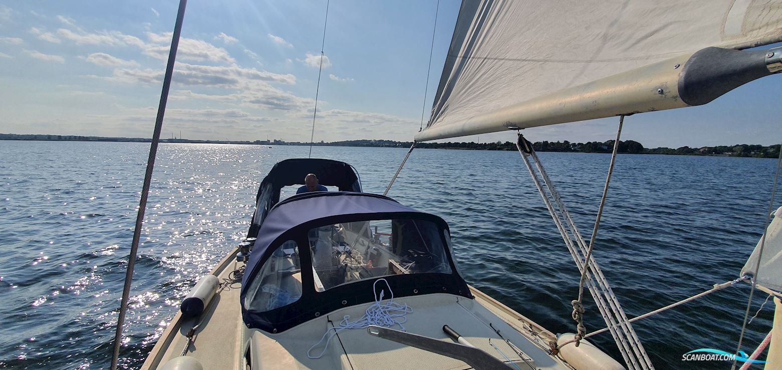 Oe36