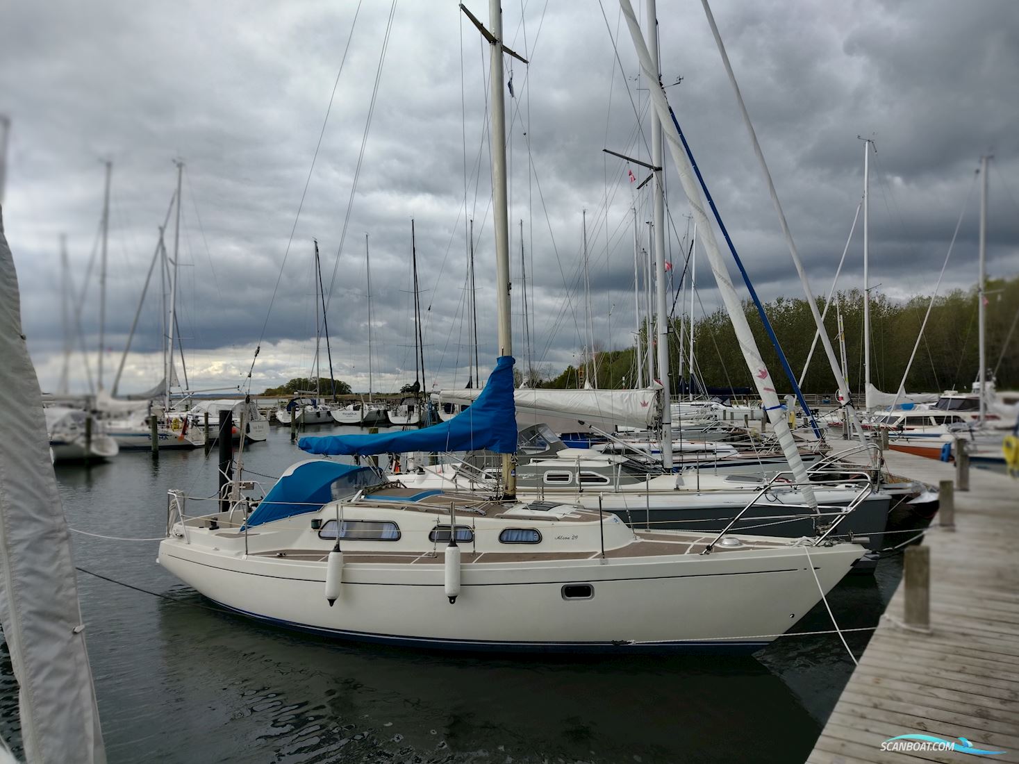 Ohlson 29 Segelboot 1977, mit Bukh DV 24 F motor, Dänemark