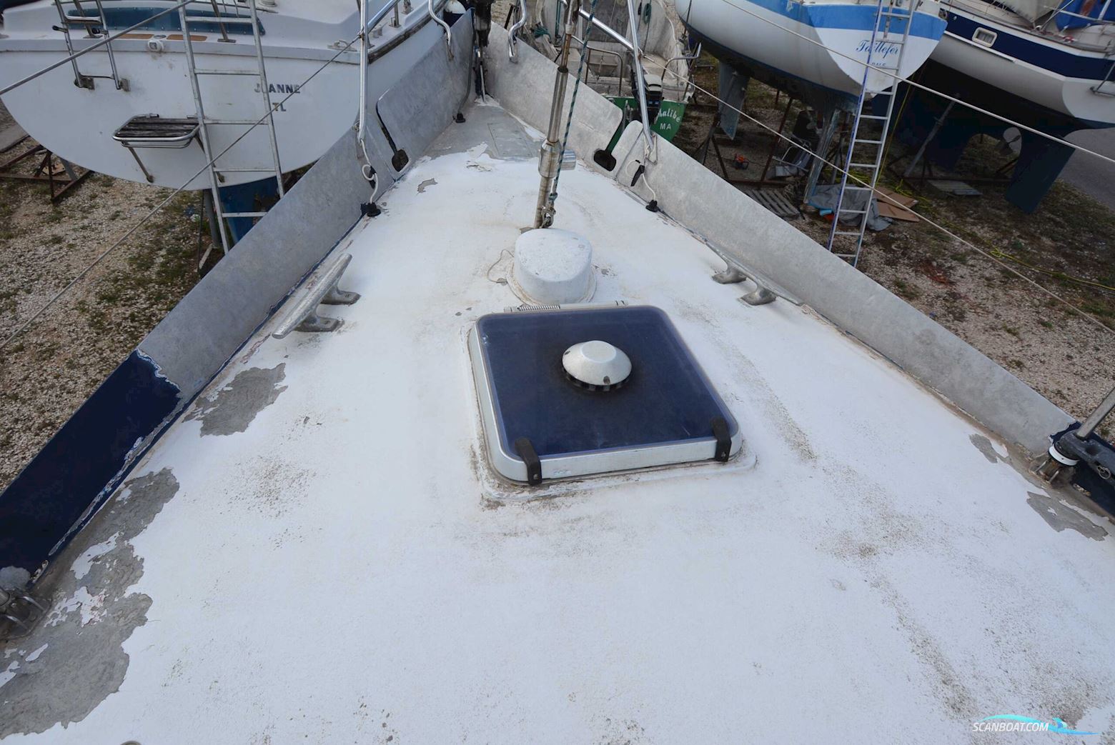 OMN DI COLAN MARCO REVE DES TROPÏQUES