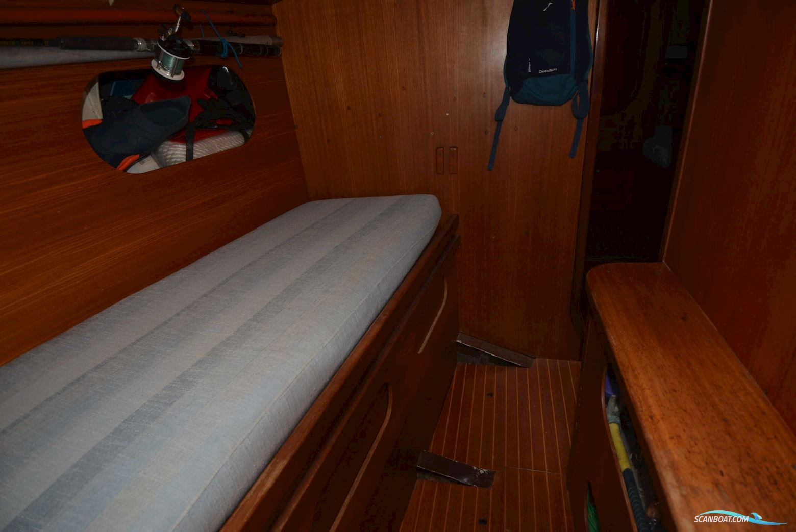 Omn DI Colan Marco Reve Des Tropïques