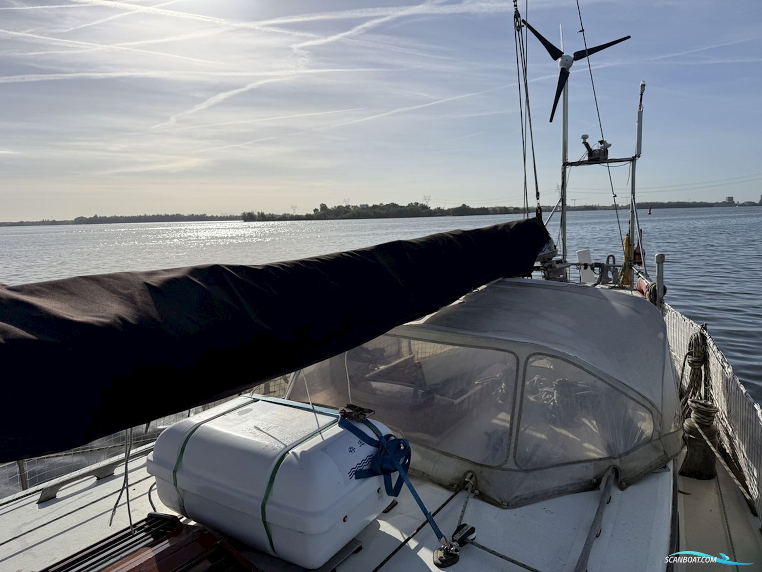 Orca 38