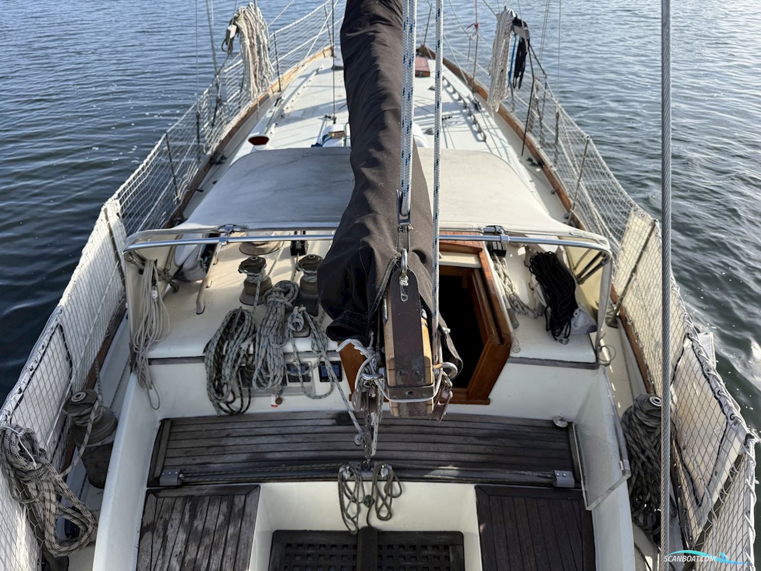 Orca 38