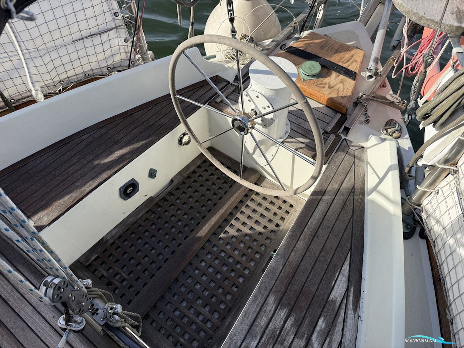 Orca 38
