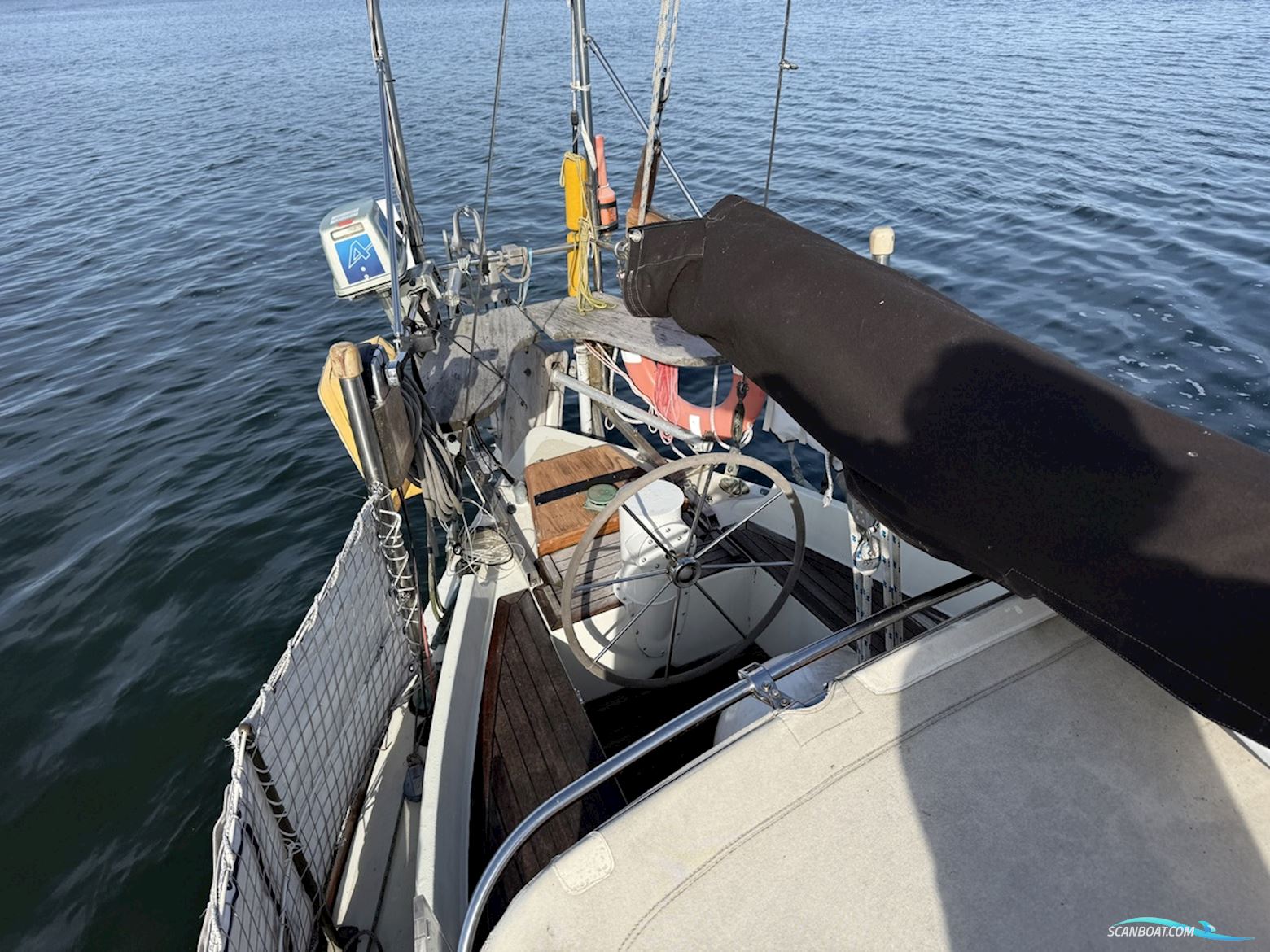 Orca 38