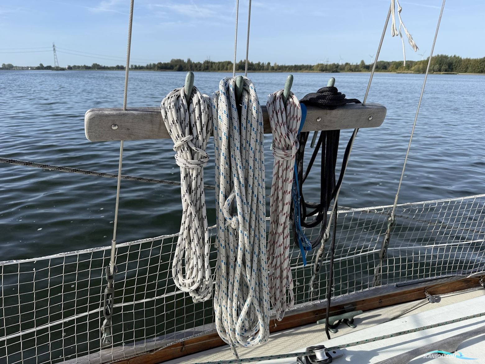 Orca 38