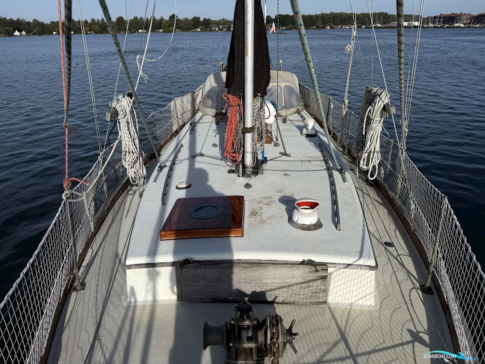 Orca 38