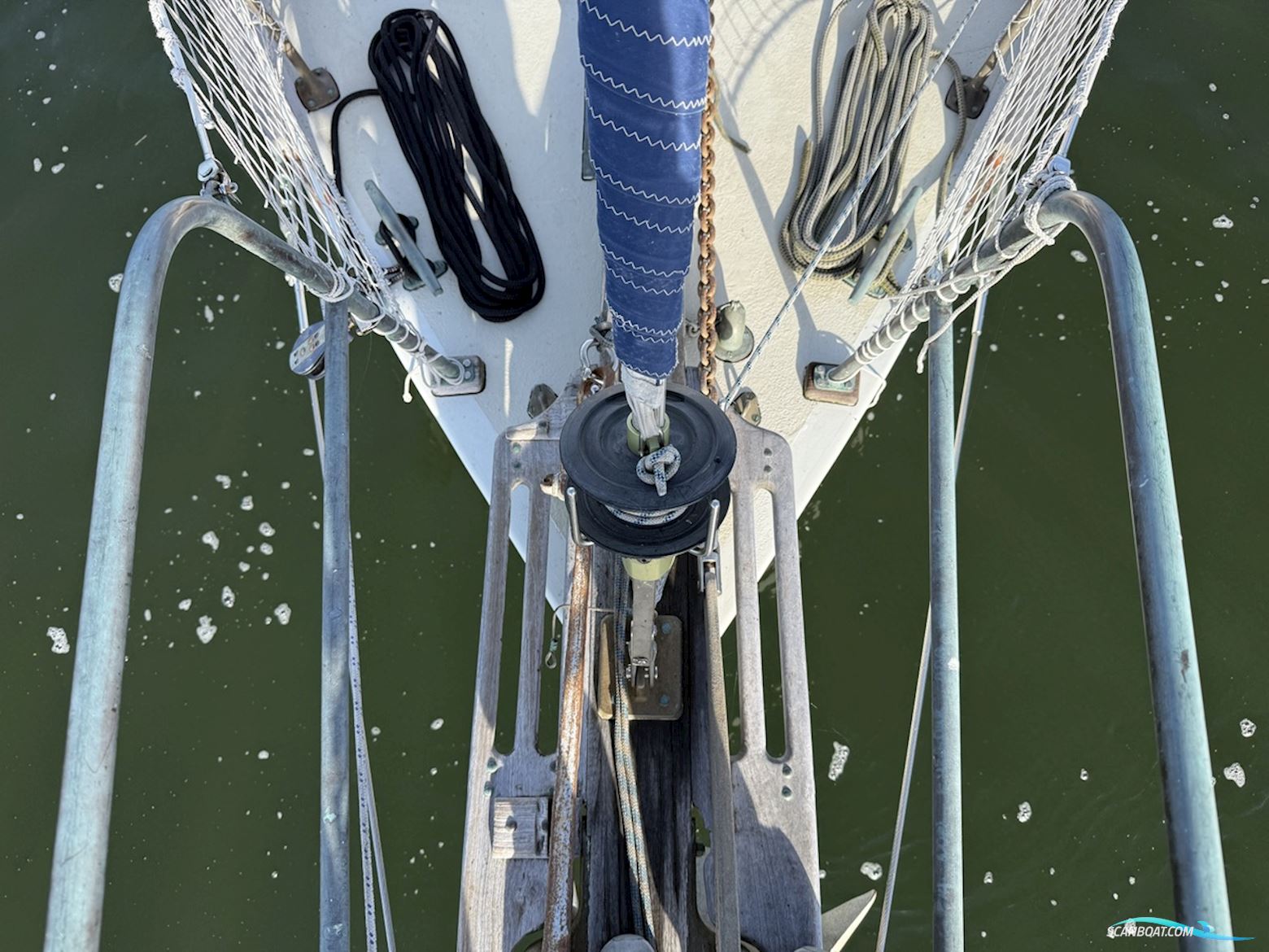 Orca 38