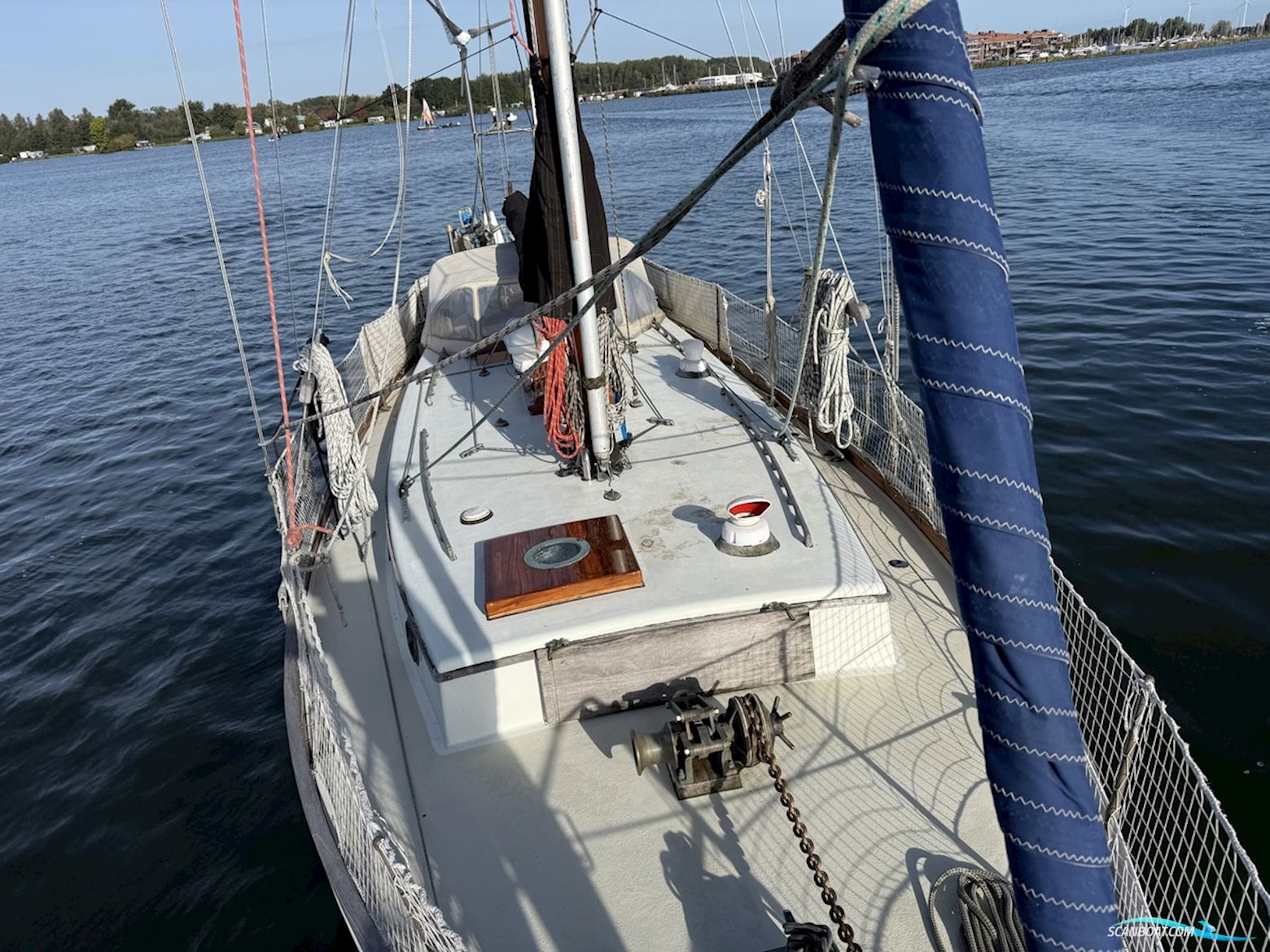 Orca 38