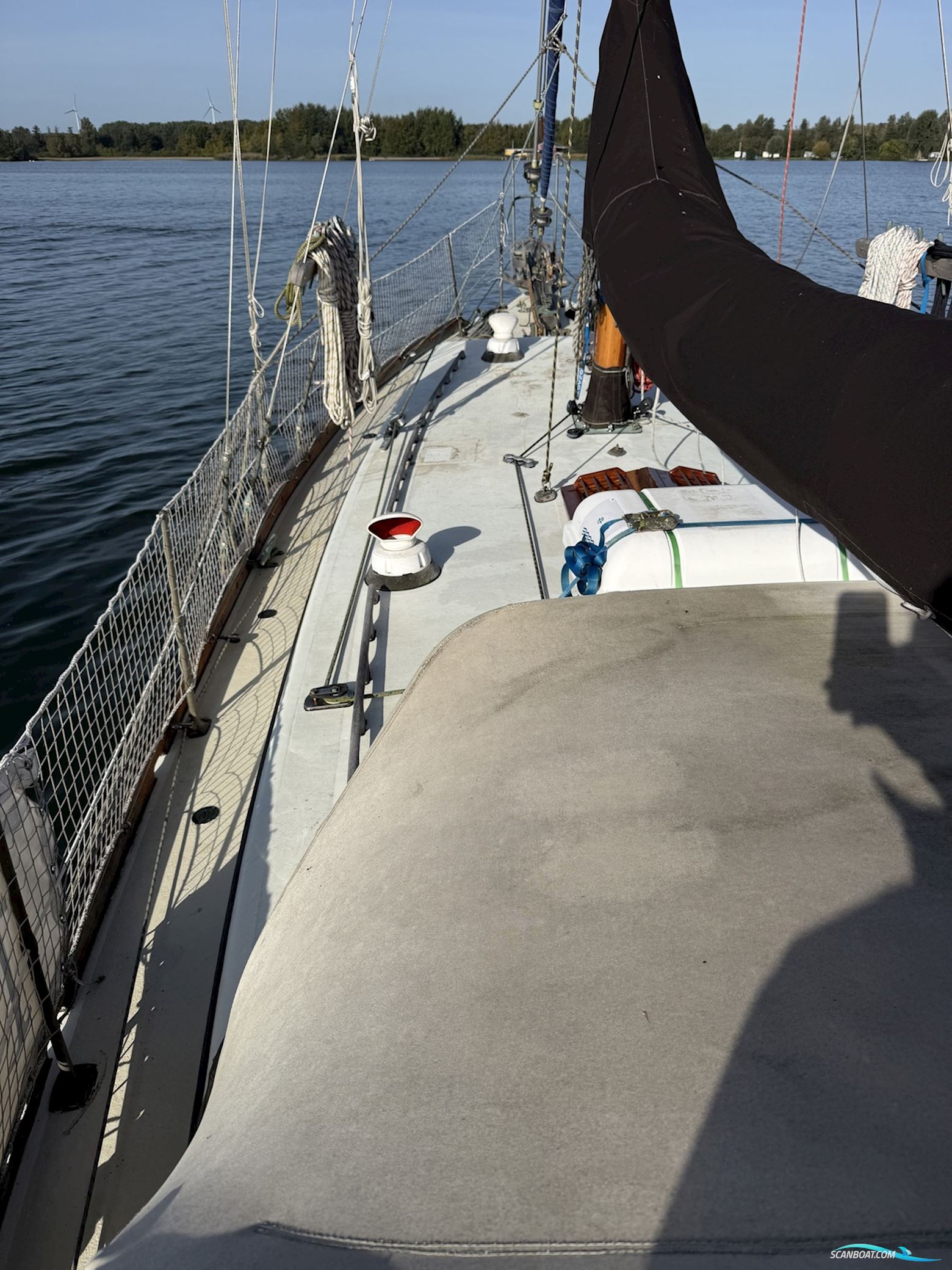 Orca 38