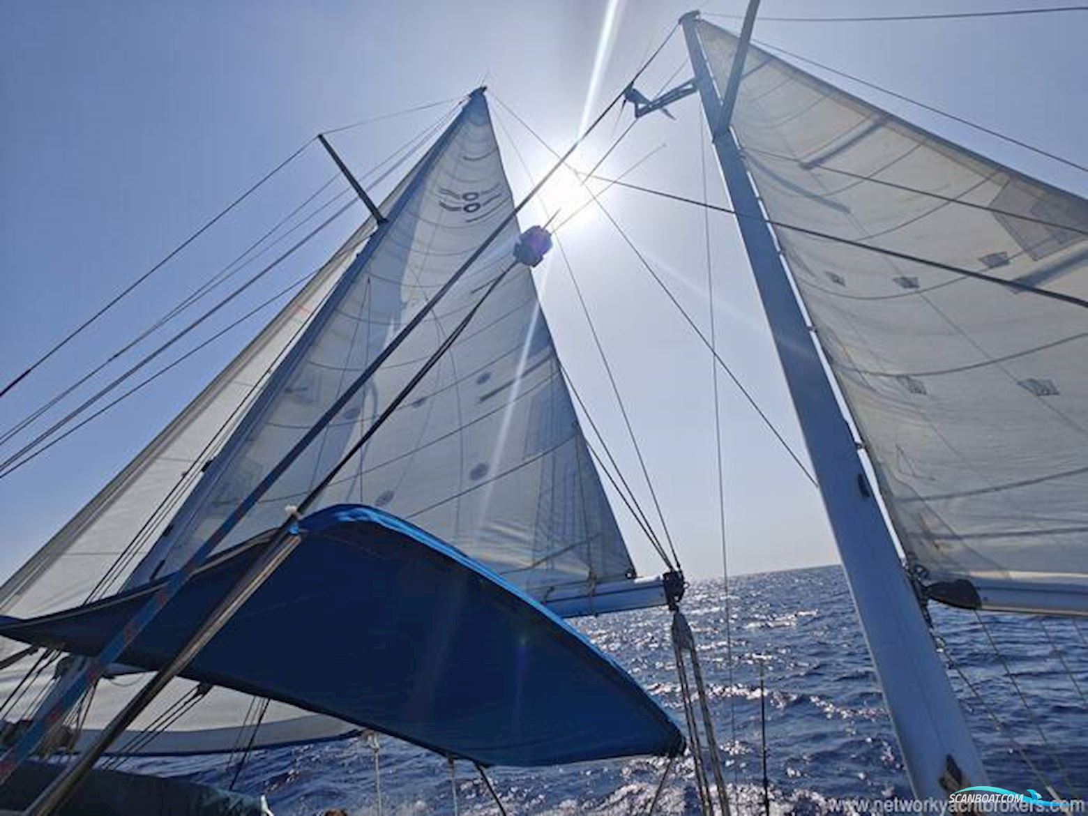 Oyster 39