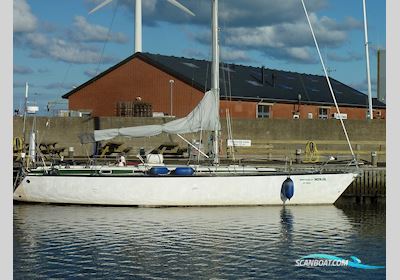 Phantom 42 - 1983 Segelboot 1983, mit Bukh motor, Dänemark