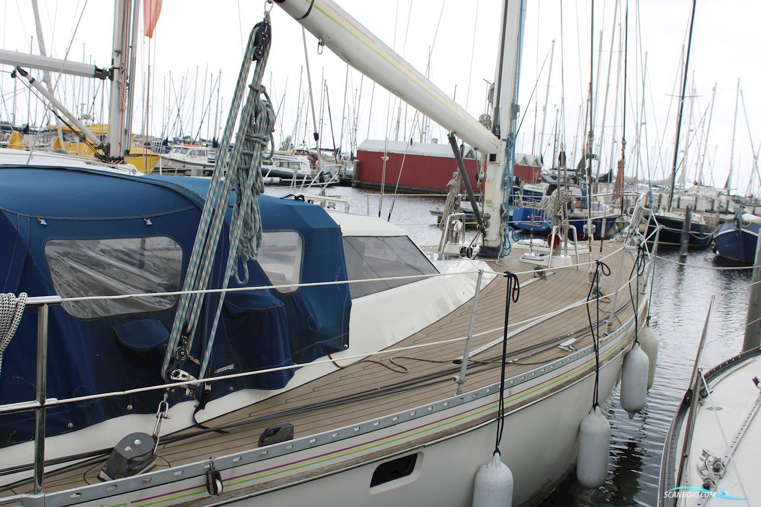 Pieter Beeldsnijder 40