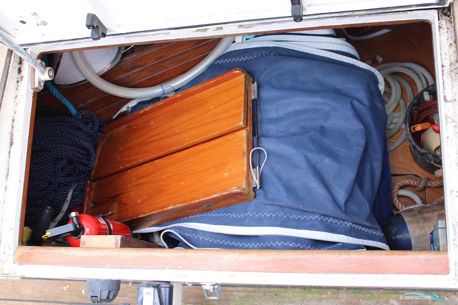 Pieter Beeldsnijder 40