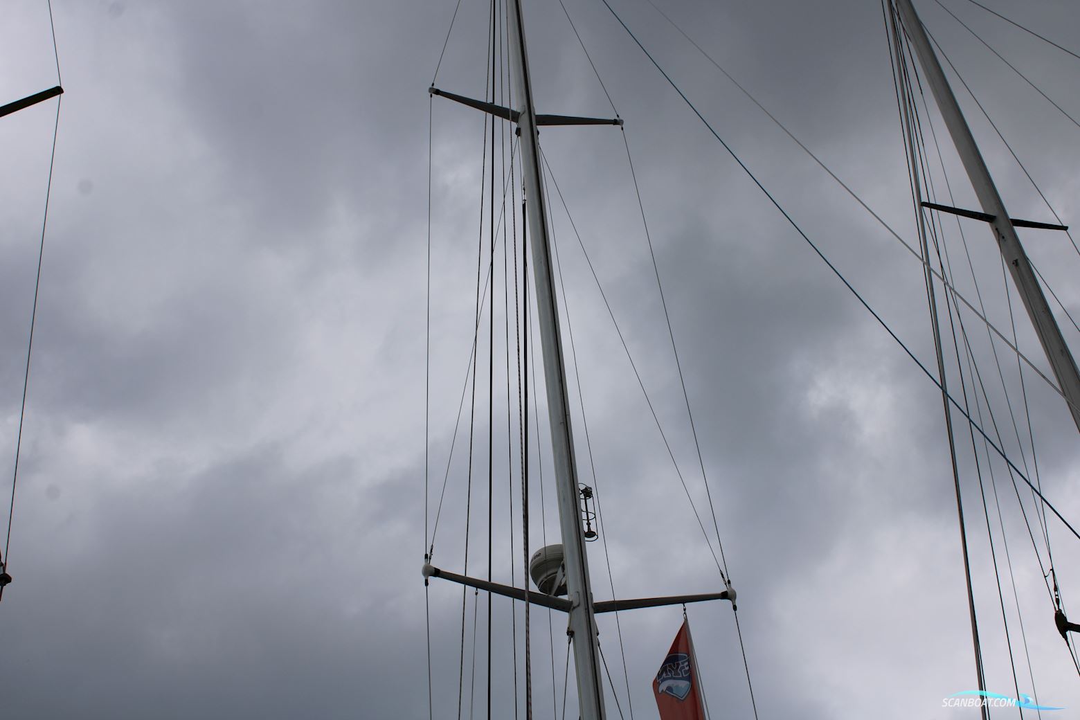 Pieter Beeldsnijder 40