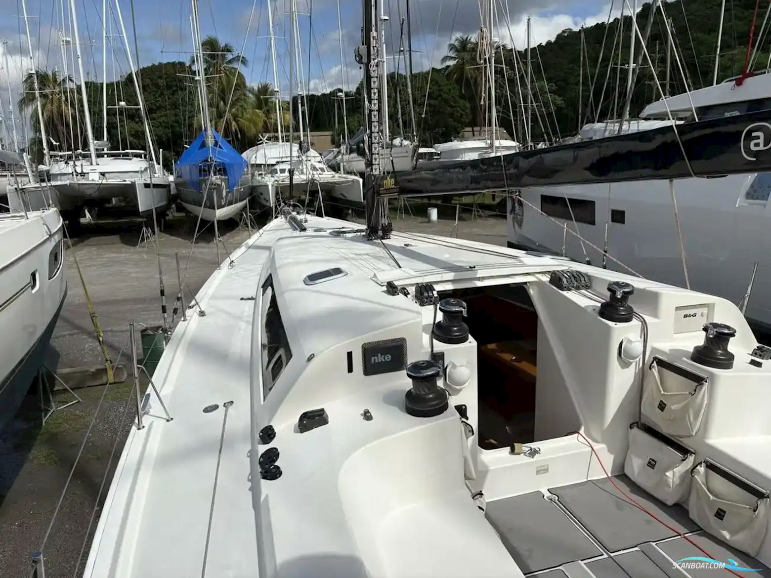 Pogo 12.50