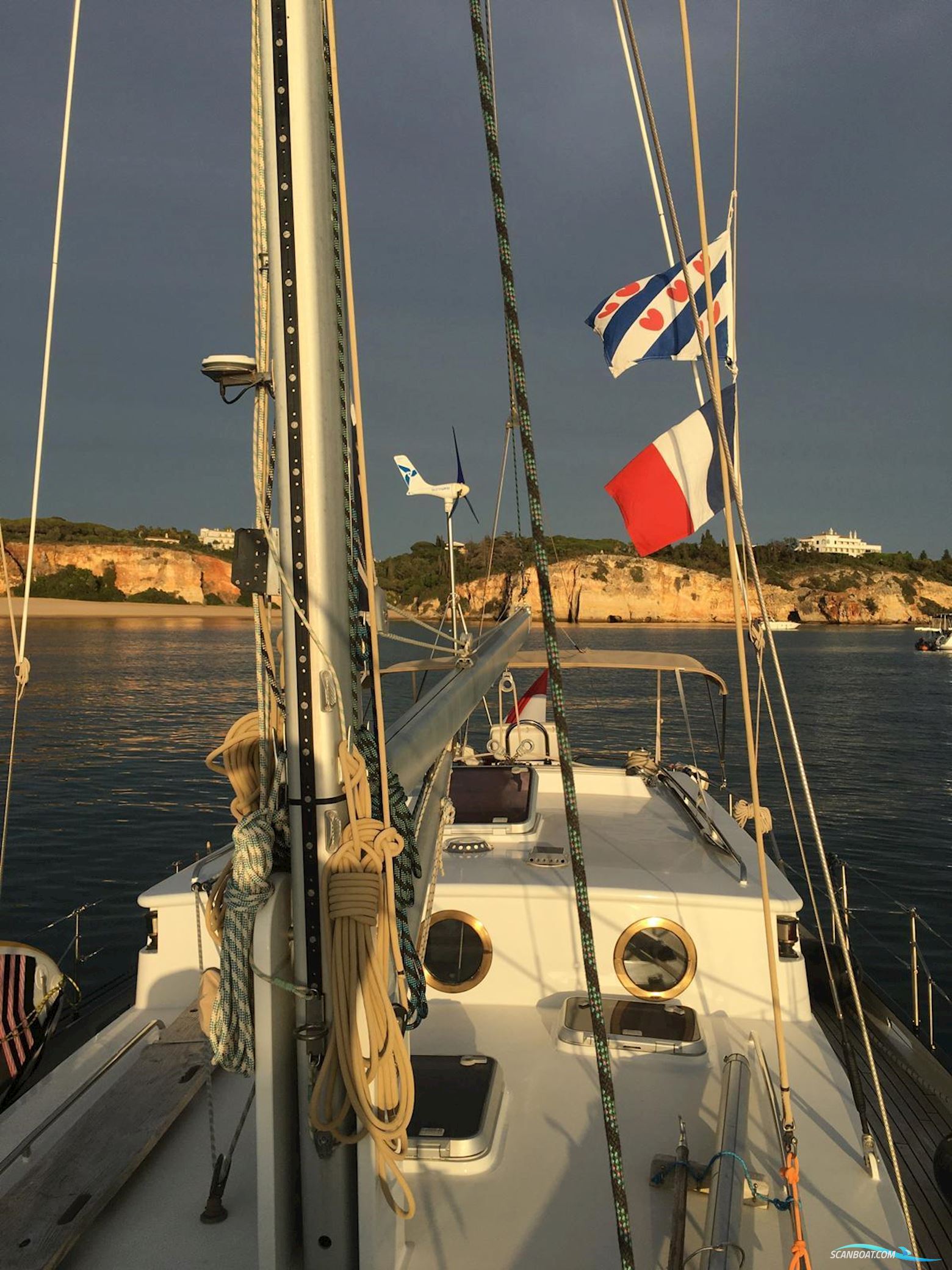 Puffin 42