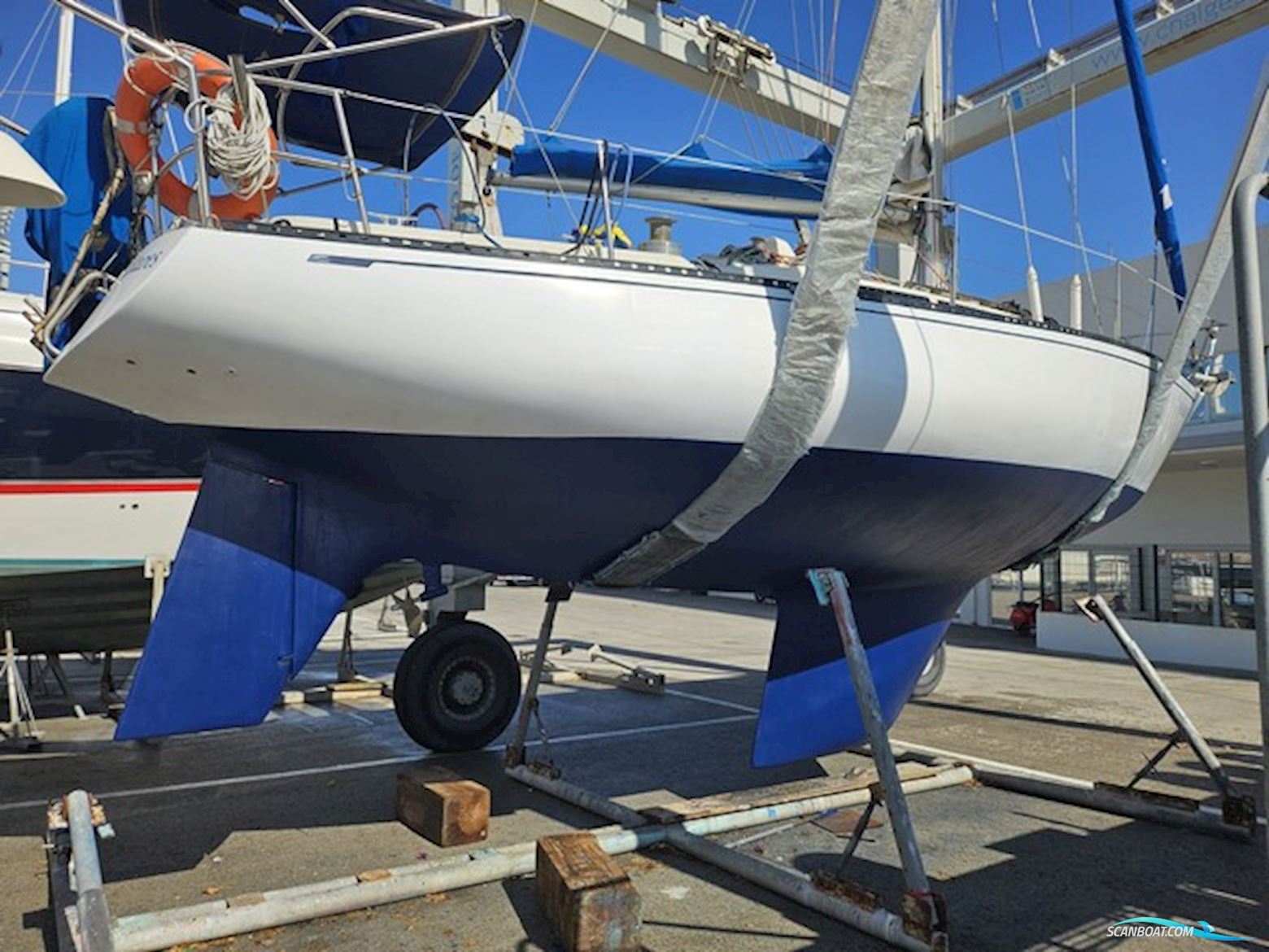 Puma 34