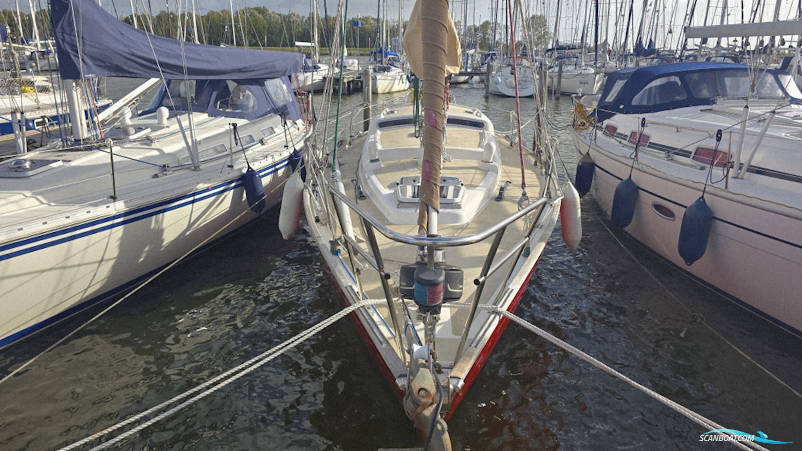 Rebel 41