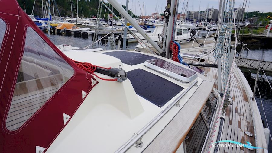 Regina 38