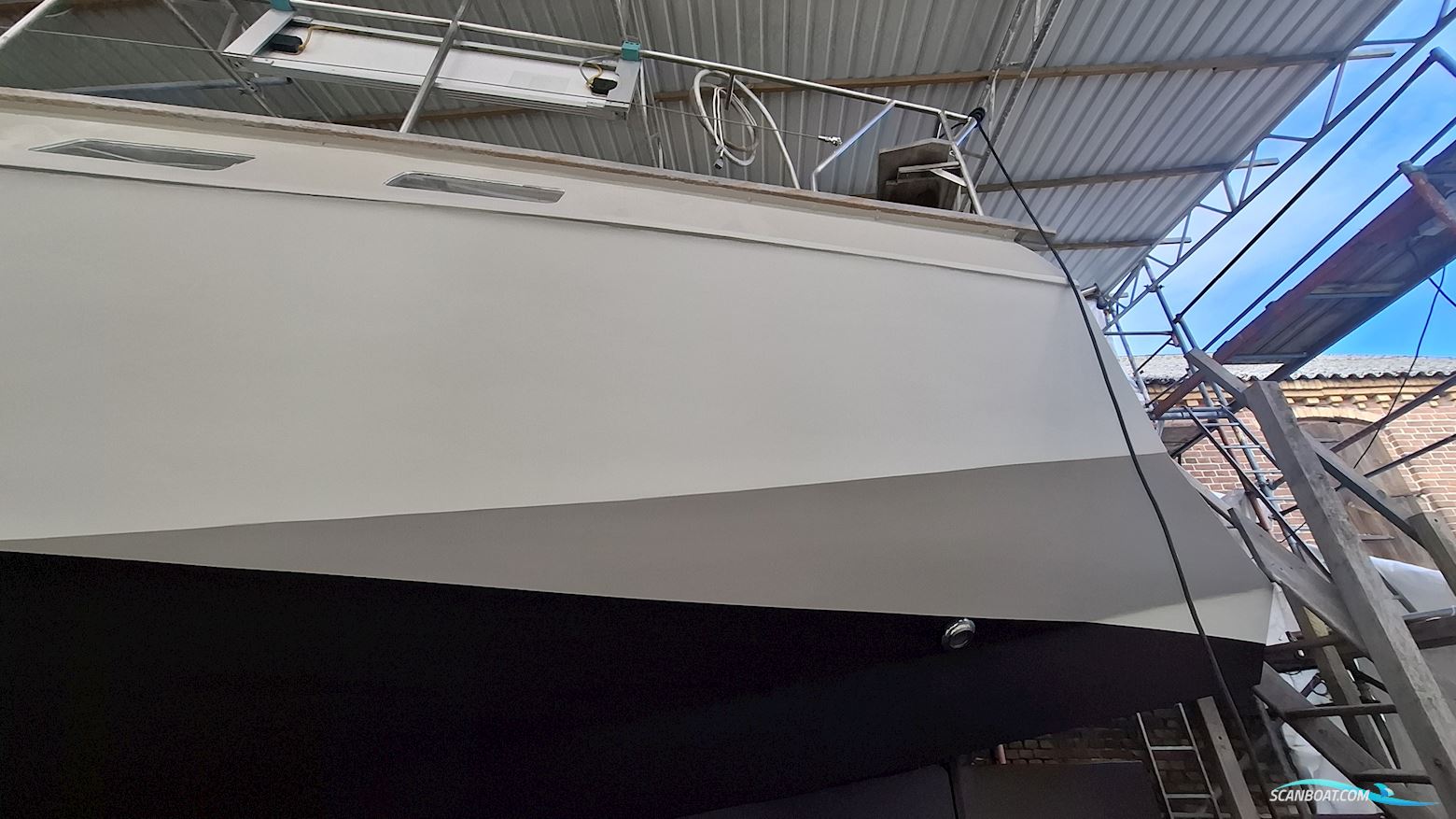 Reinke Hydra 50