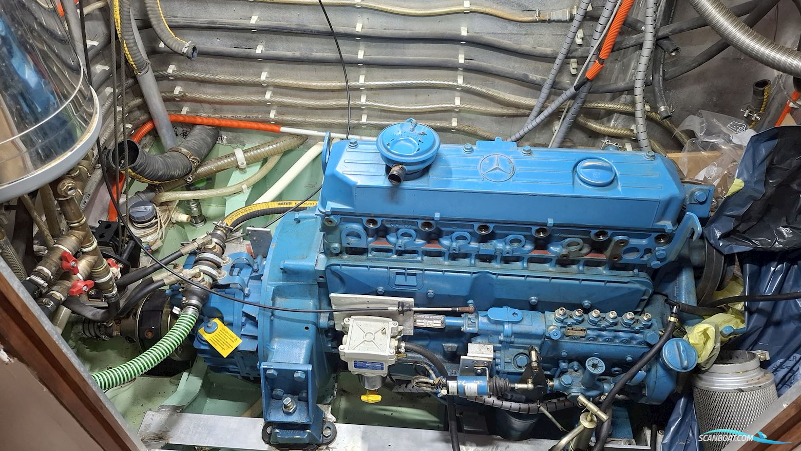 Reinke Hydra 50