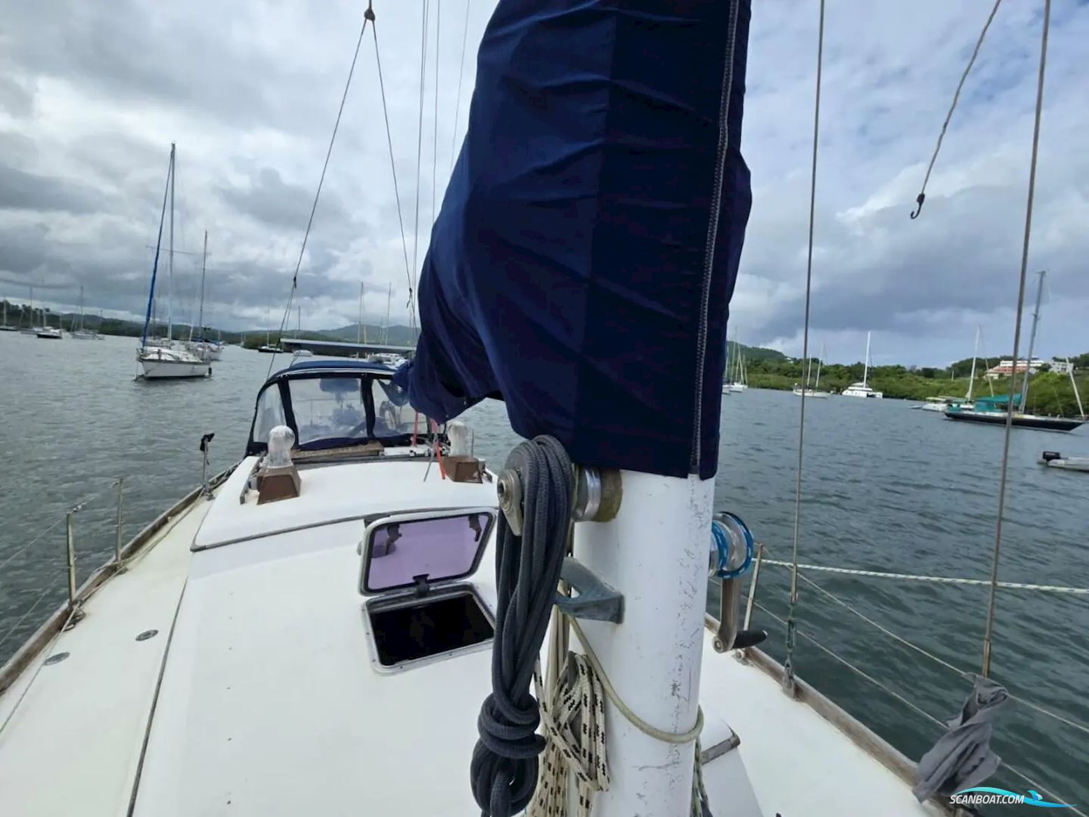 Reliance 44