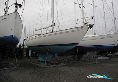Rival 36 Segelboot 1987, mit Mitsubishi motor, Belgien