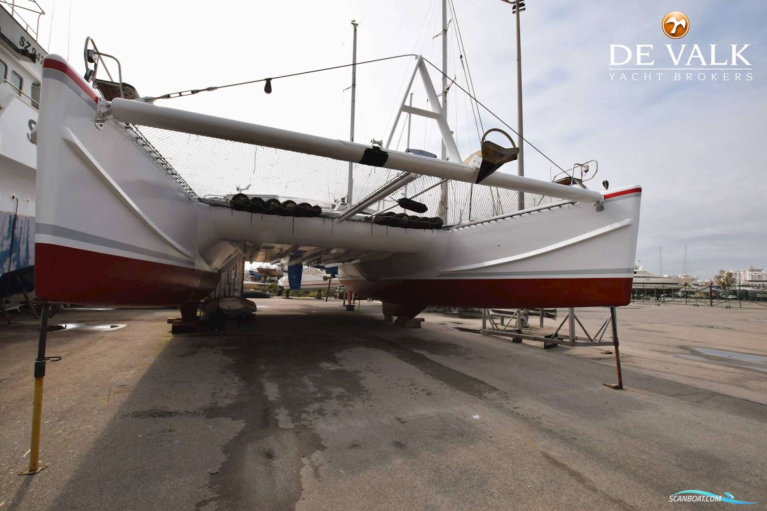 Robertson & Caine One off