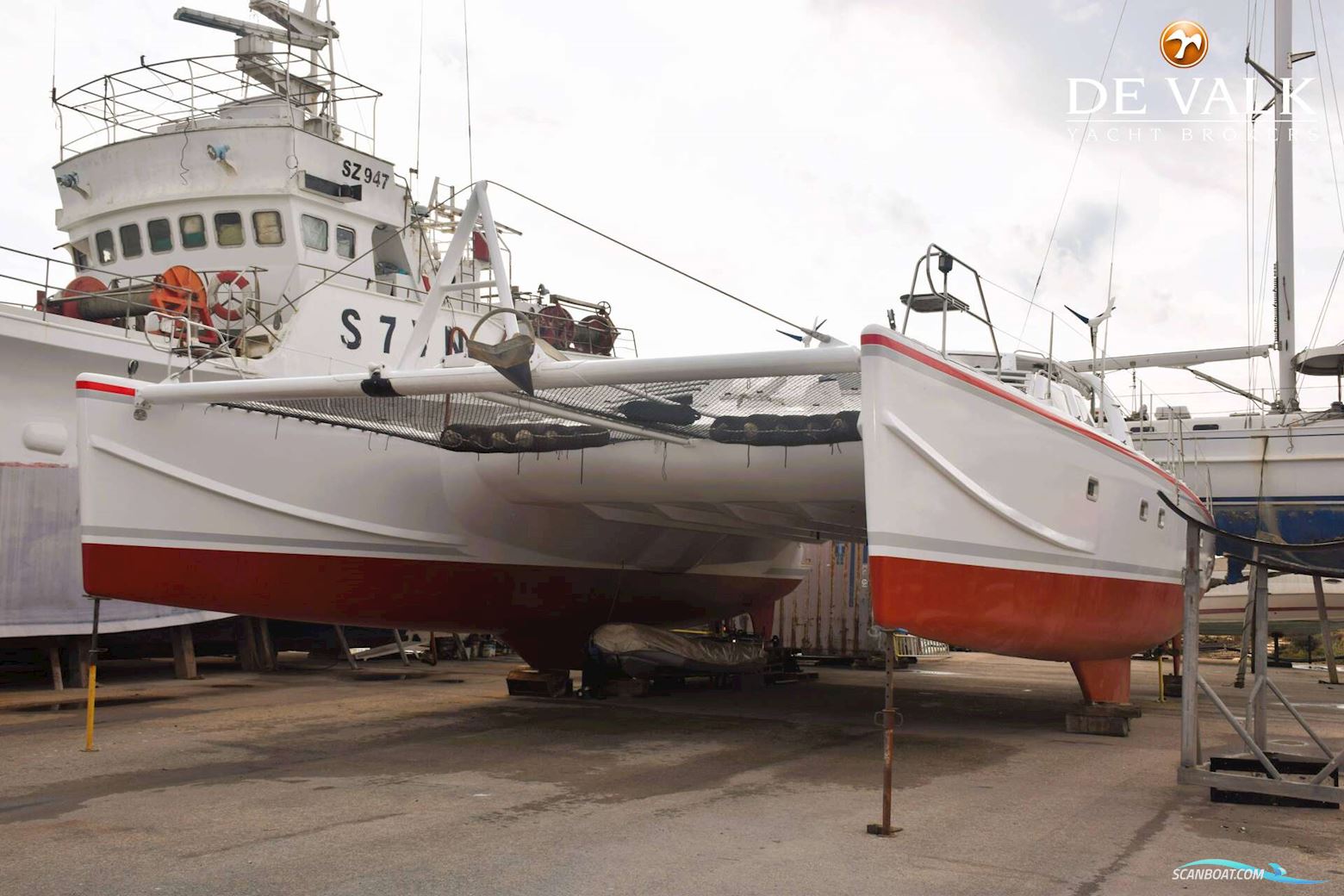 Robertson & Caine One off