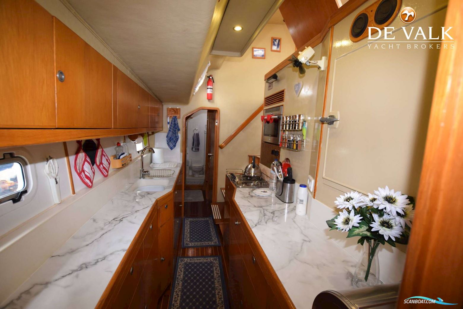 Robertson & Caine One off