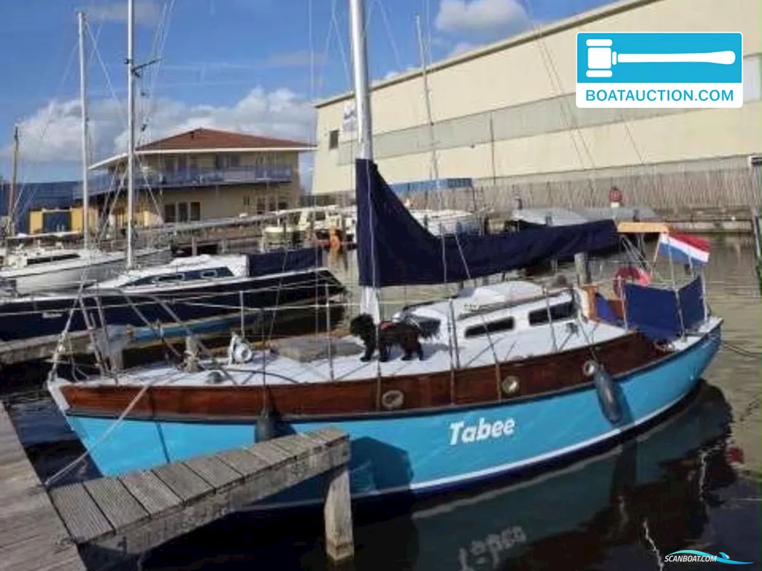 Rossiter Pintail 27
