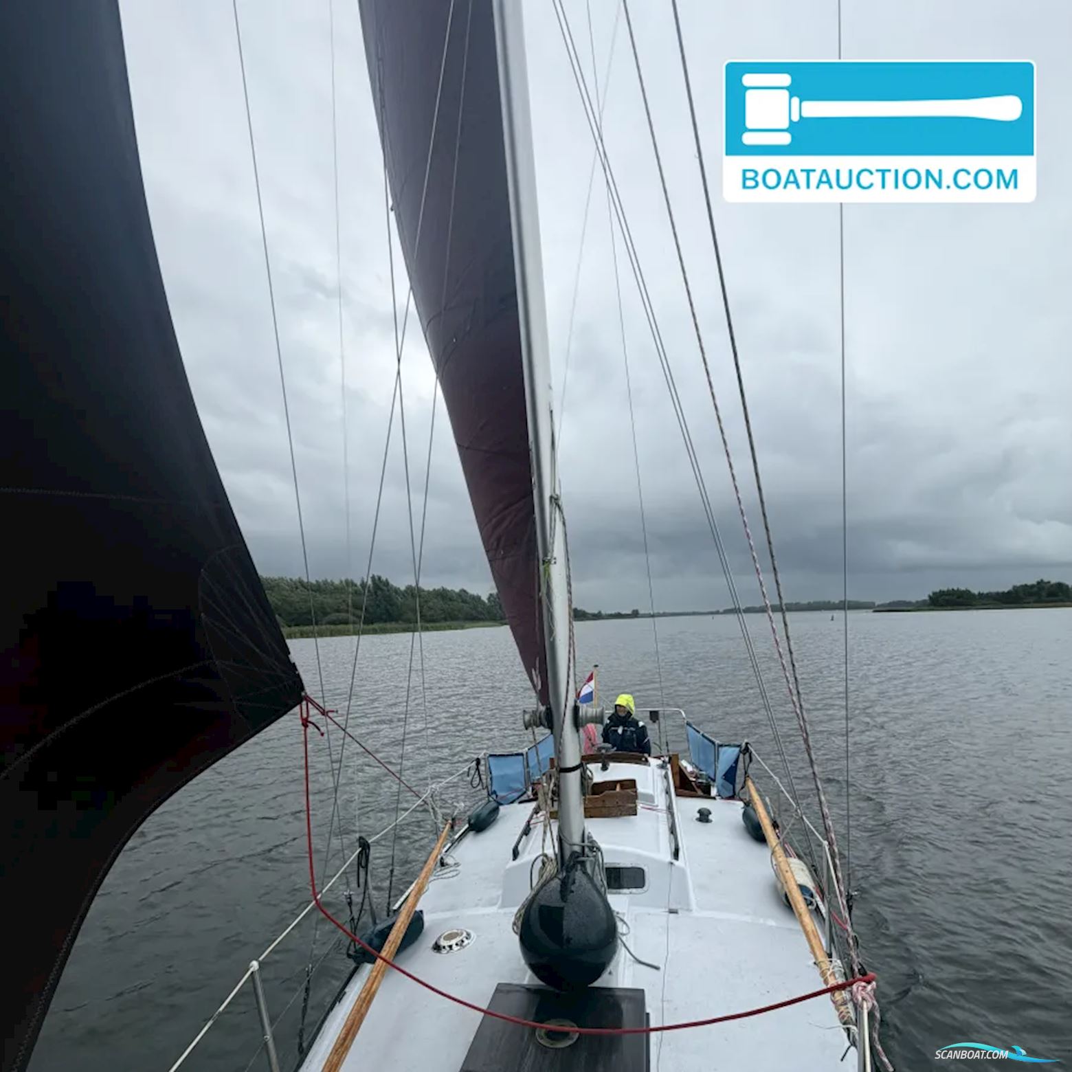 Rossiter Pintail 27