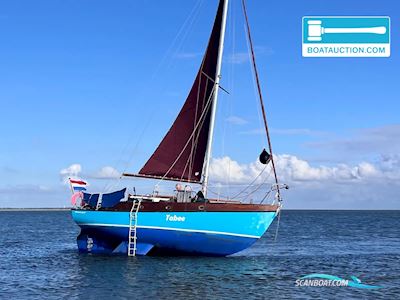 Rossiter Pintail 27 Segelboot 1975, mit Beta Marine motor, Niederlande
