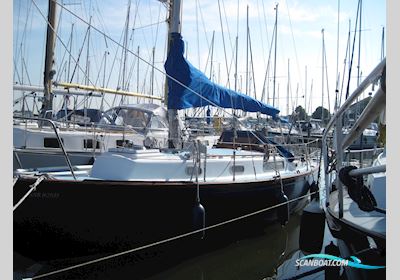 Rustler 31 Segelboot 1969, mit Volvo Penta motor, Niederlande